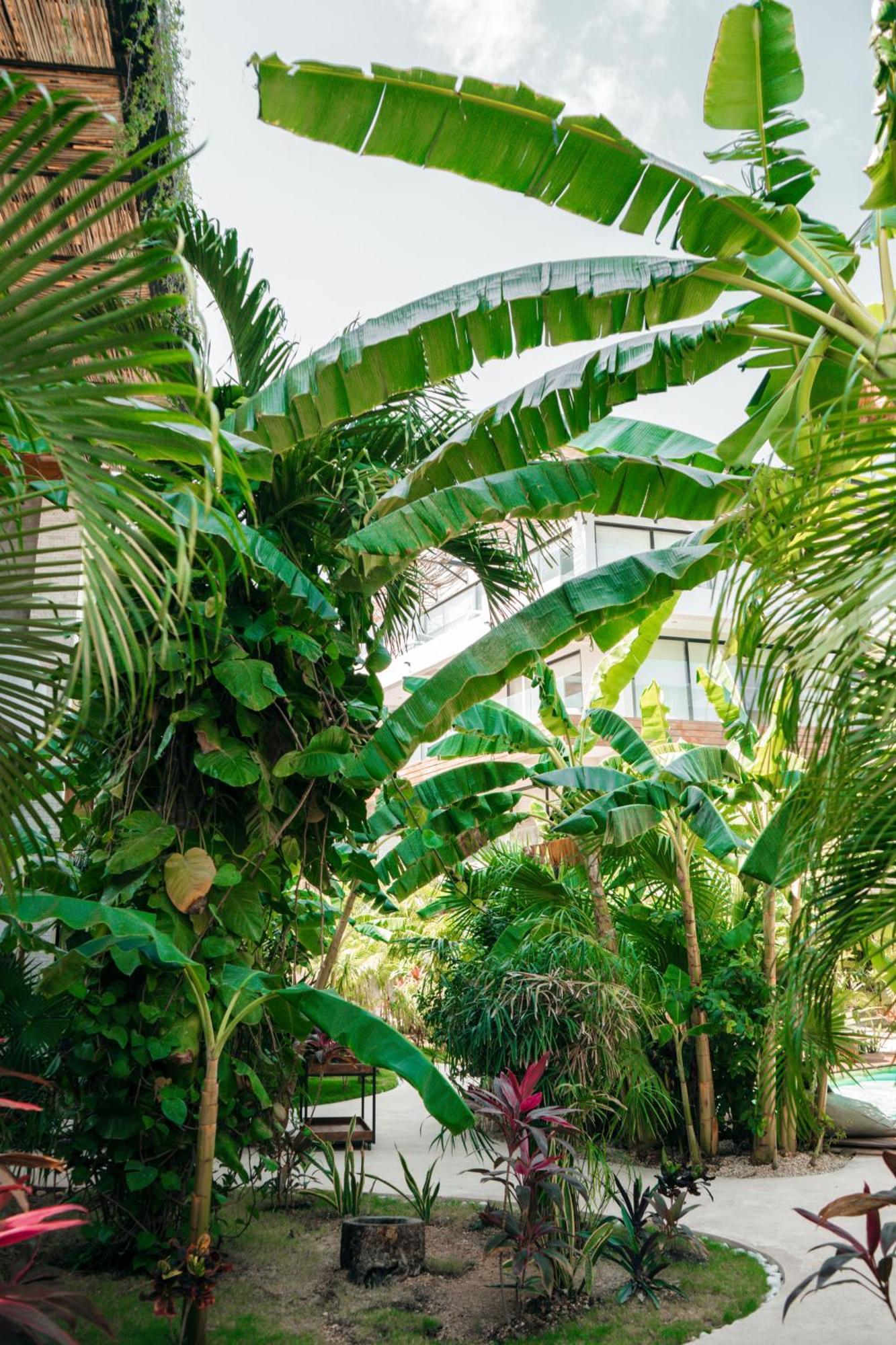 Appartement Kinah Retreat - Exclusive Boho Tropical Escape à Tulum Extérieur photo